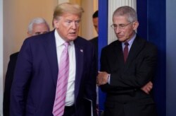 Başkan Donald Trump ve bulaşıcı hastalıklar uzmanı Doktor Anthony Fauci